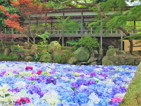 茨城 雨 デート|茨城県で雨の日に楽しめるイチ押しの屋内観光スポッ .